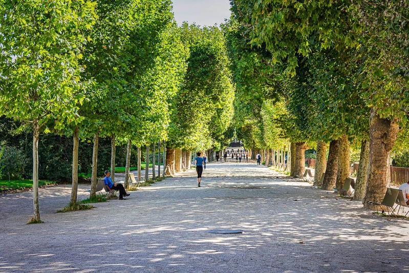 Appartement Service - Jardin Des Plantes - Paris 5 - Flat-Guest Eksteriør billede